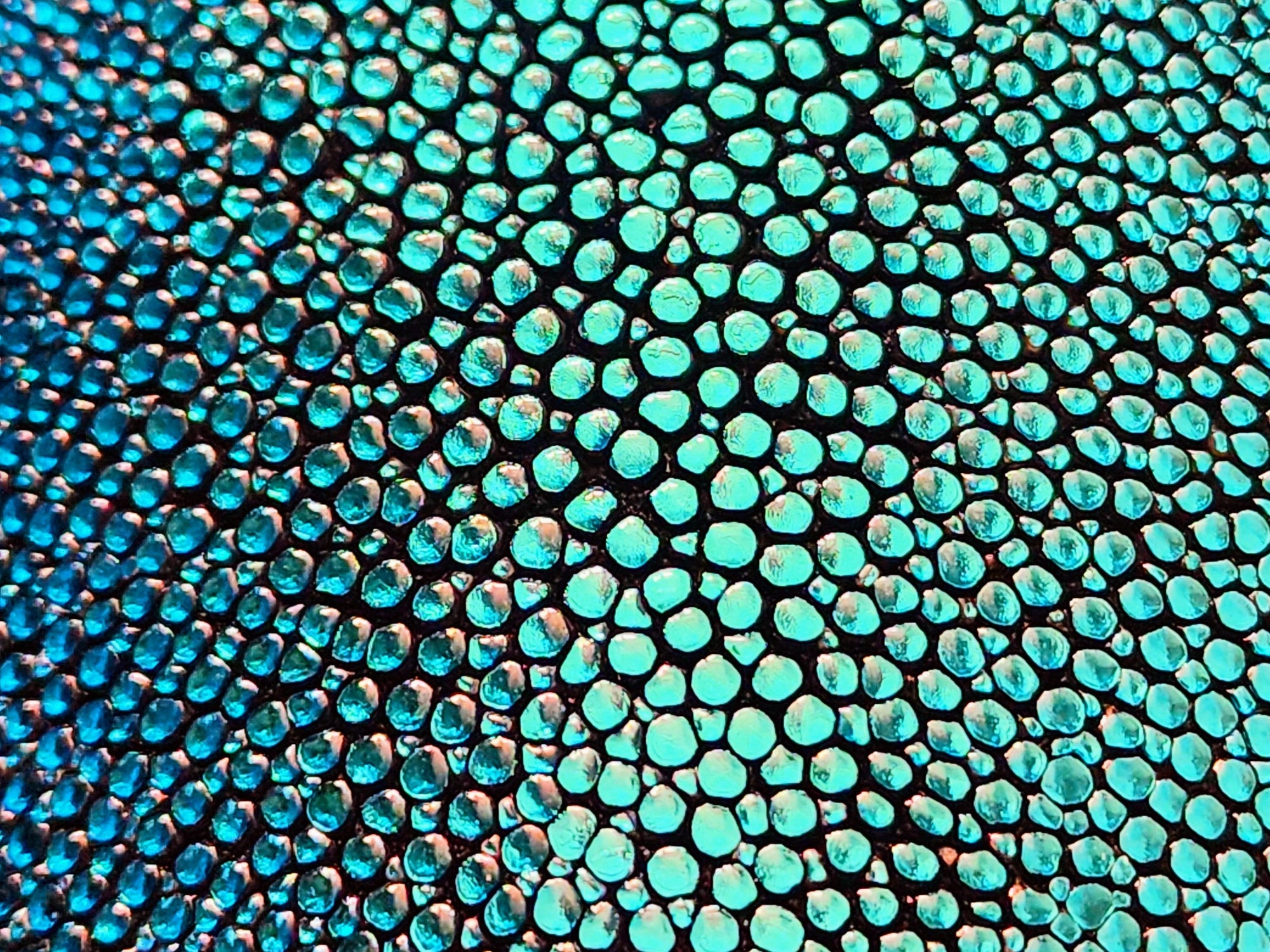  Close-up view of opulent metallic stingray hide in a rich blue green color.