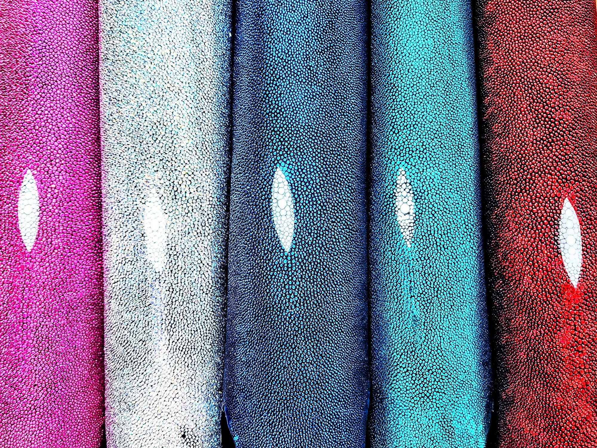  Close-up of all available metallic stingray leather colors, showcasing a spectrum of luxurious options.