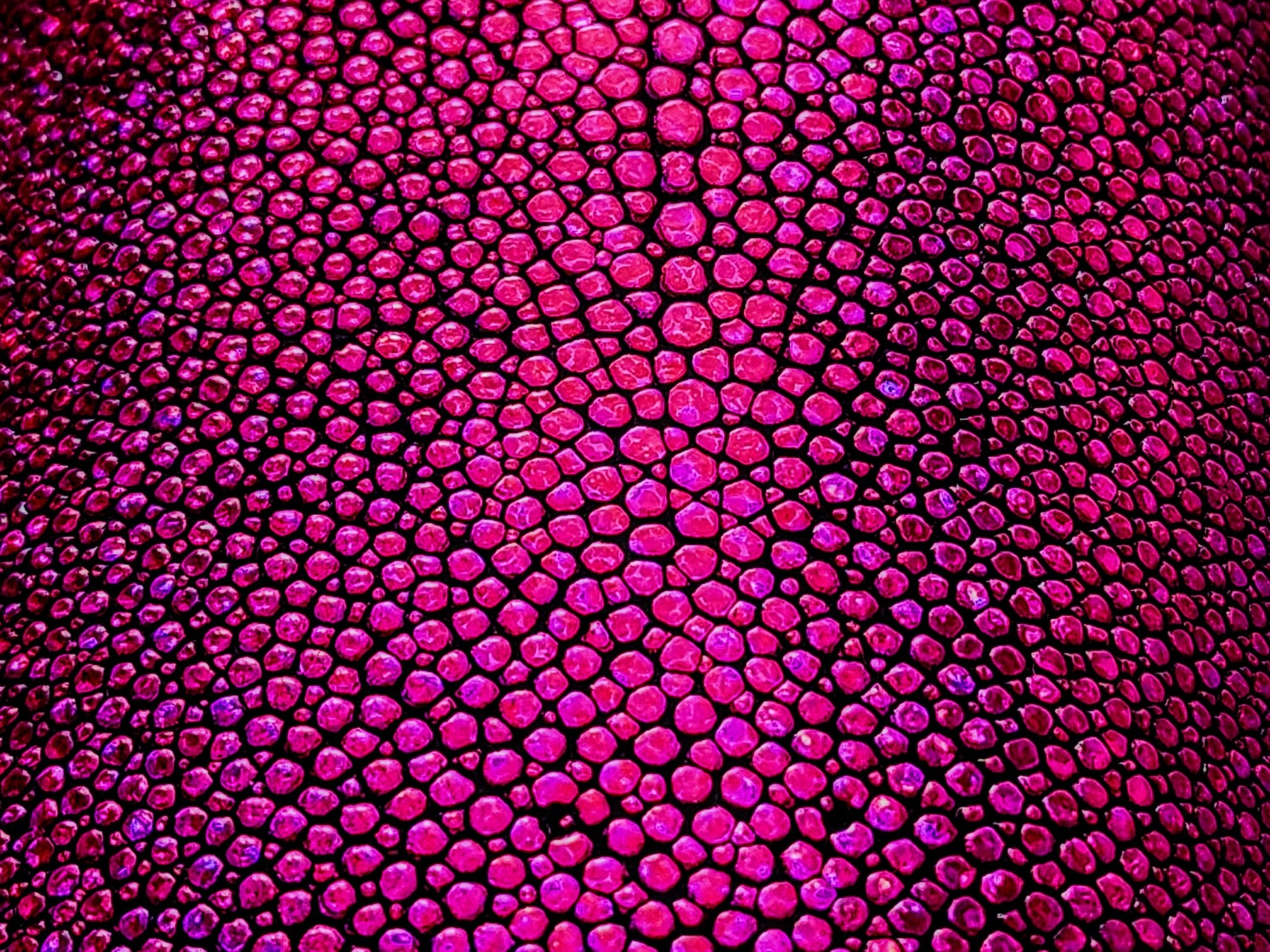  Close-up view of metallic stingray hide in a striking fuchsia hue, capturing the elegance of the leather.