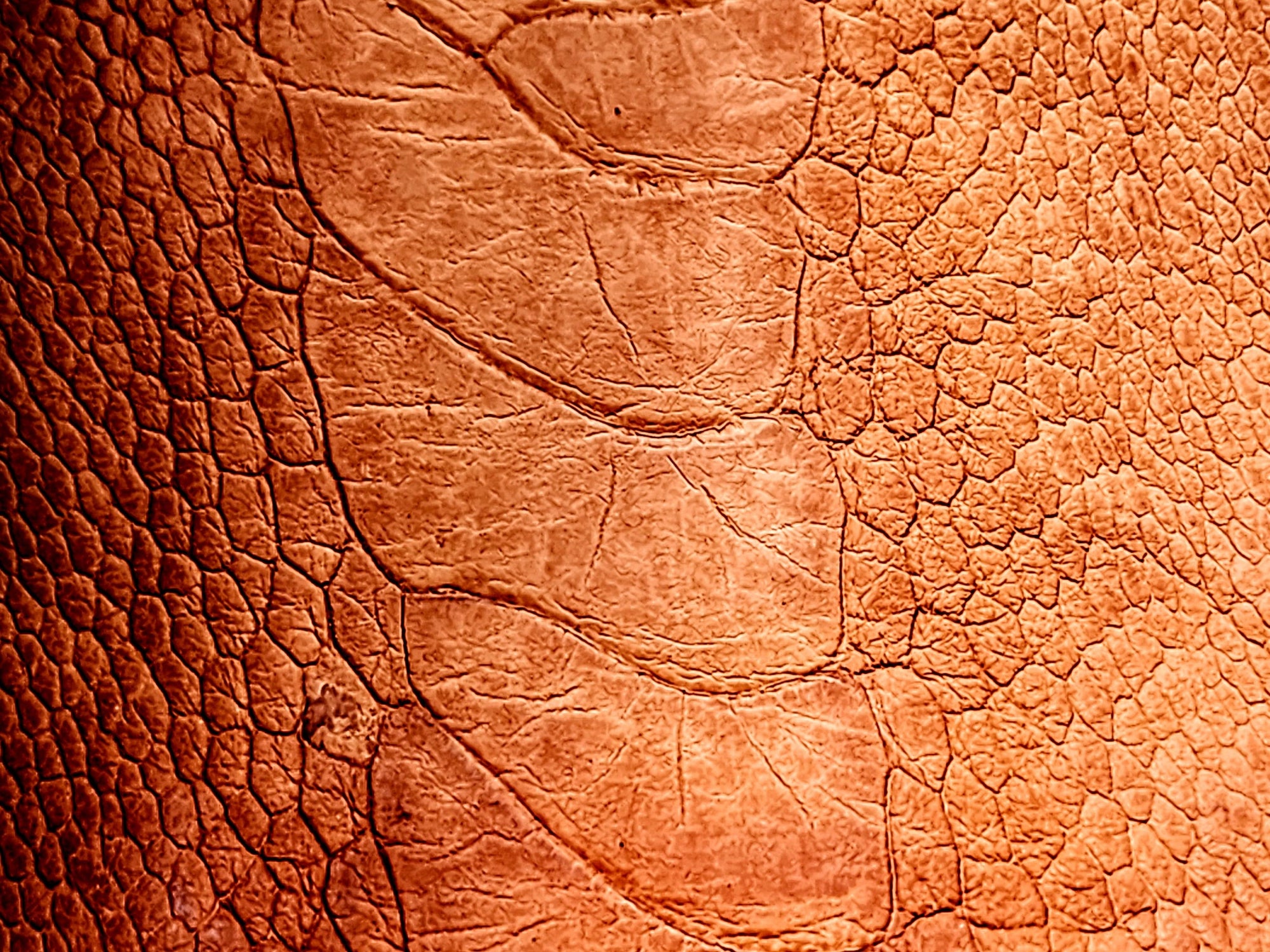  Close-up of exquisite tan ostrich leg leather, showcasing its unique texture and natural beauty.