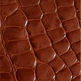 Timeless Leather Collection