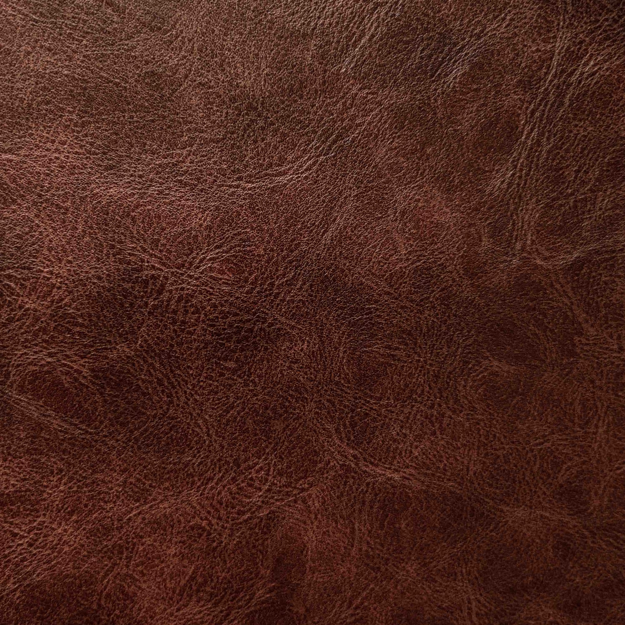 Timeless Leather Collection