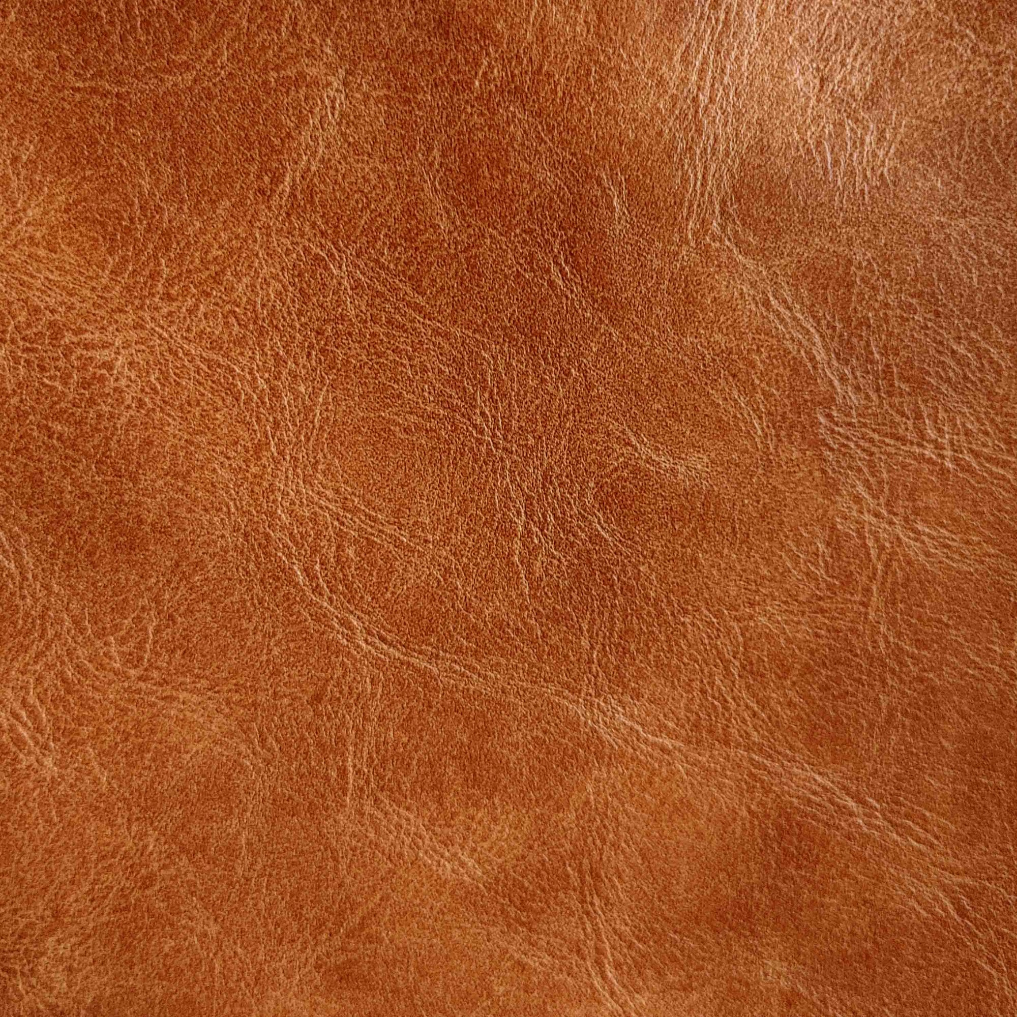 Timeless Leather Collection