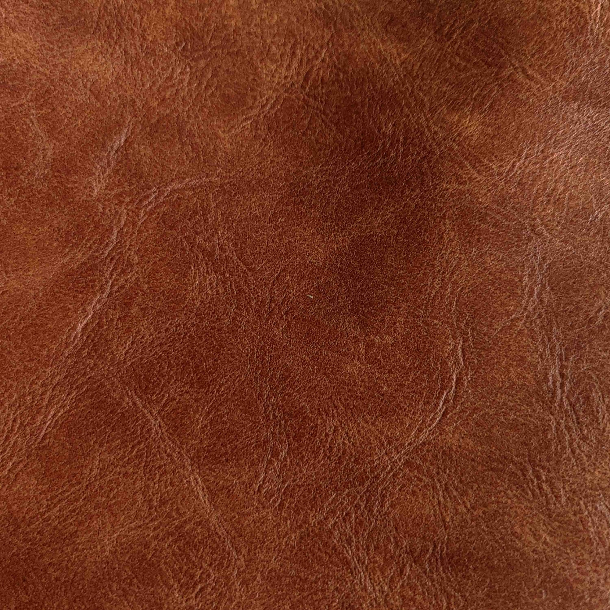 Timeless Leather Collection